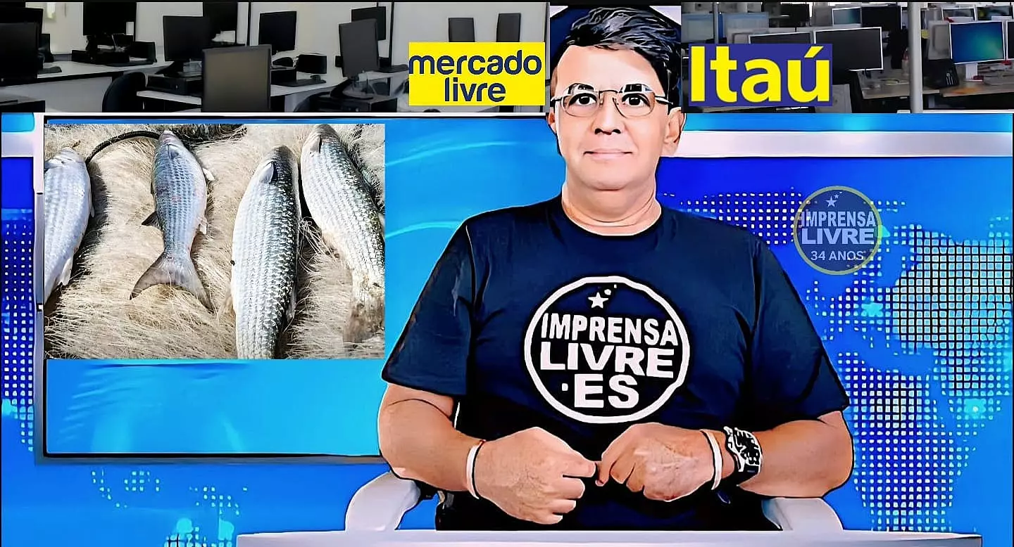 ( Arrasto de praia): Pesca de tainha está suspensa em todo país, entenda porque